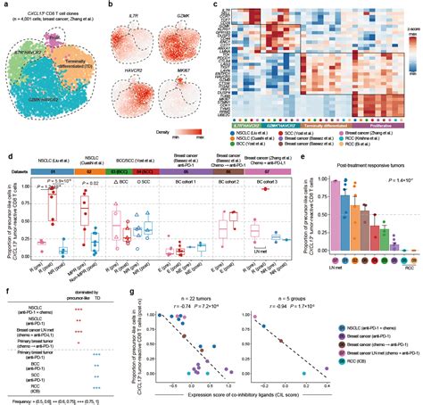 Nature Cancer 张泽民课题组揭示肿瘤特异t细胞特征及多癌种水平上免疫治疗作用机制 Cancer Pku