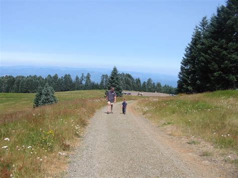 Marys Peak Trailhead - Hiking in Portland, Oregon and Washington