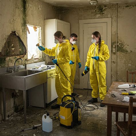 How to Stop Mold Growth After Water Damage - Expert Prevention