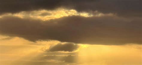 Newfound T. rex relative was an even bigger apex predator, remarkable ...