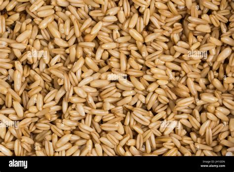 Wheat Barley And Oat Stock Photo Alamy