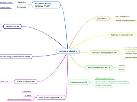 Juicio Oral Y Publico Mind Map