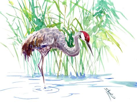 Sandhill Crane Artwork Oriuginal Hand Painted Watercolor Art Etsy