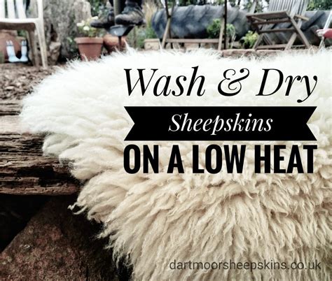 How To Wash A Sheepskin Its Easier Than You Think Dartmoor Sheepskins