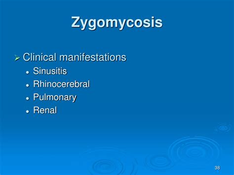 Ppt Mycology Powerpoint Presentation Free Download Id 1899063