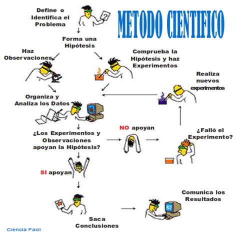 C Mo Llevar A Cabo Un Experimento Con El M Todo Cient Fico