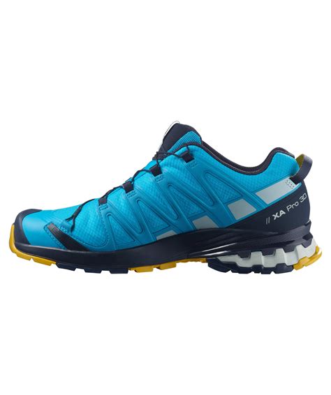 Herren Trailrunning Schuhe XA PRO 3D V8 GORE TEX