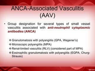 ANCA vasculitis | PPT