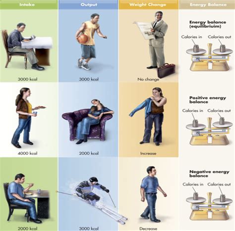 Final Energy Balance Weight Control Flashcards Quizlet