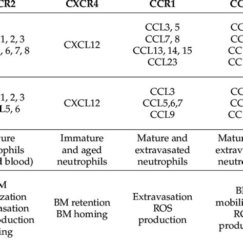 Human And Murine Chemokine Receptors Expressed By Neutrophils And Their