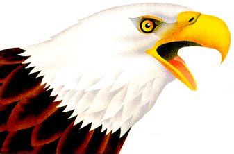 Endangered Species: Save Our Species Information - Bald Eagle | US EPA