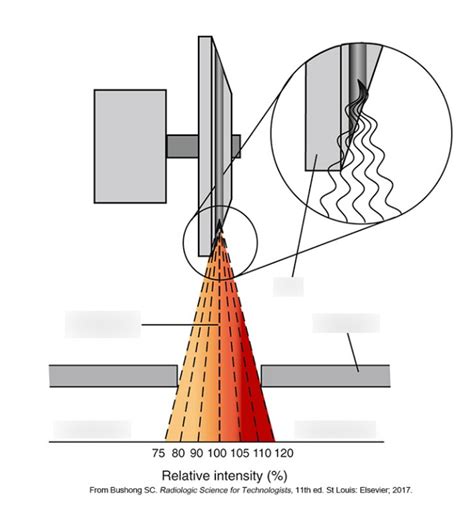 Radiography Lecture Heel Effect Diagram Diagram Quizlet