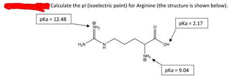 Solved Calculate The Pl Isoelectric Point For Arginine Chegg