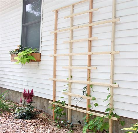 24 Best Diy Garden Trellis Projects Ideas And Designs For 2017