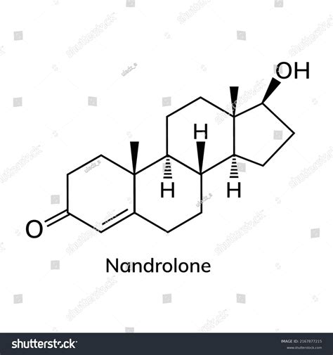 Nandrolone Structural Chemical Formula On Wite Stock Vector Royalty