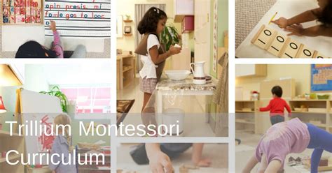 Montessori Curriculum at Trillium Montessori Preschool in Cary, NC 27519