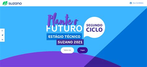 Suzano abre 46 vagas em Programa de Estágio Técnico Madeira Total