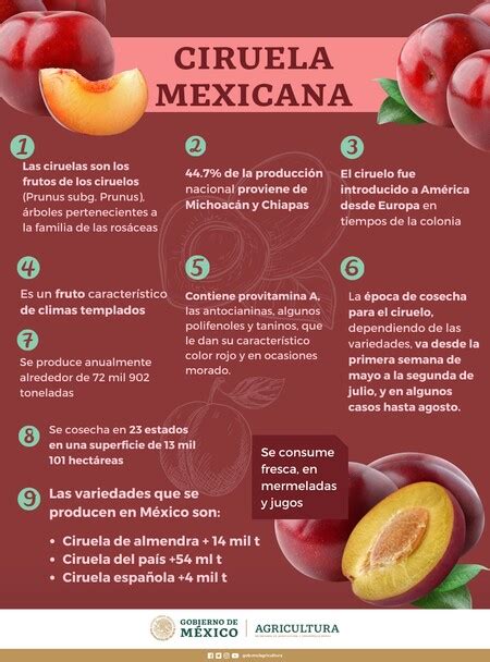 Ciruela Una Fruta De Temporada Con Múltiples Beneficios Para La Salud