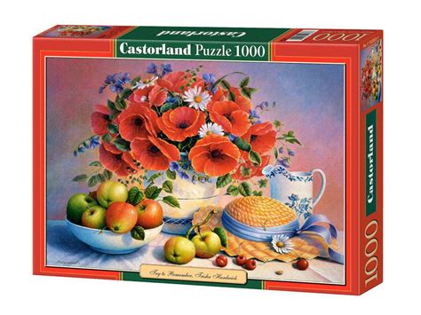 Castorland Puzzle 1000 pièces Essaie de te souvenir Trisha Hardwick