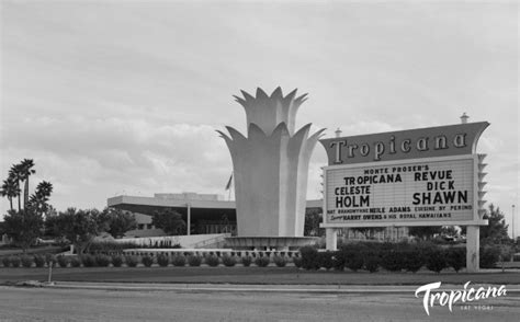 Las Vegas Bids Farewell To The Tropicana With A Spectacular Celebration