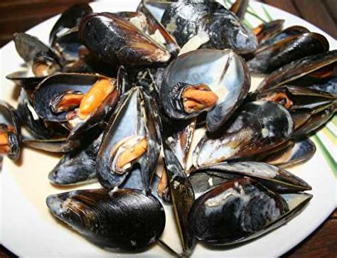 Moules d Espagne au pain d épices de amafacon et ses recettes de