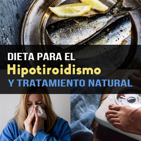 Dieta para el hipotiroidismo y tratamiento natural La Guía de las