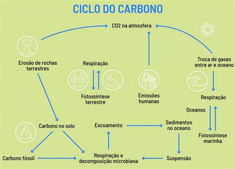 Ciclo Geológico Do Carbono
