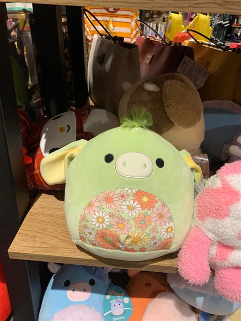 Box Lunch finds! : r/squishmallow