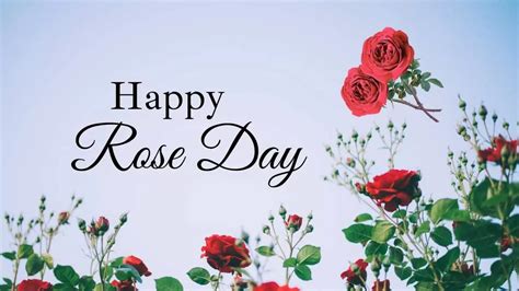 What Is Rose Day 2024 Greer Karylin