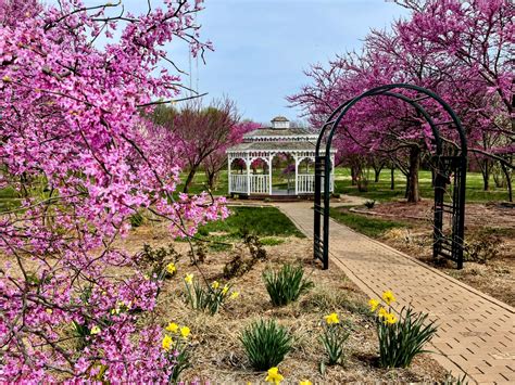 greenlawn memorial gardens springfield obituaries 5