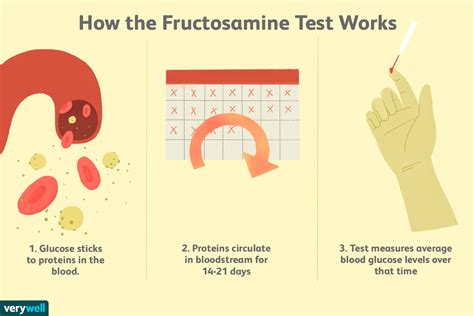 Fructosamine Blood Glucose Level Test for Diabetes