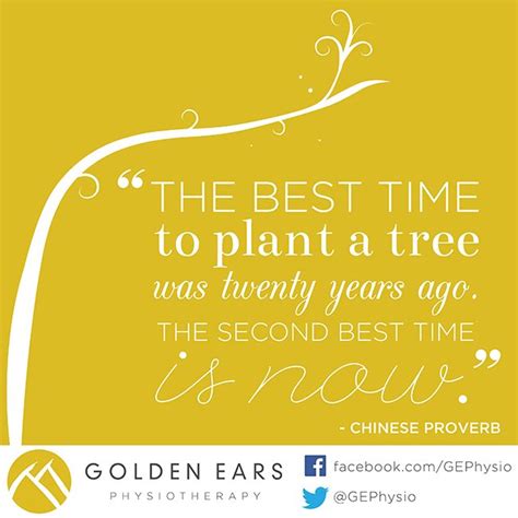 The Best Time To Plant A Tree Was Twenty Years Ago The Second Best