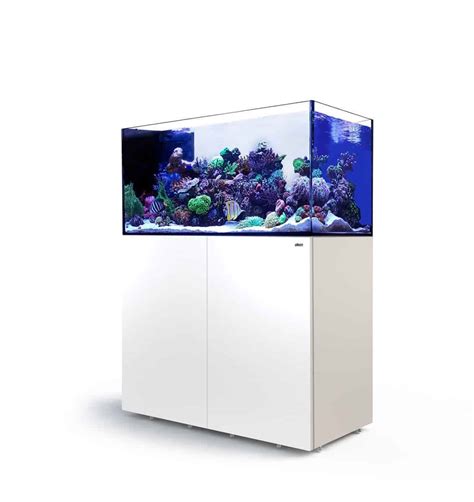 Red Sea Peninsula P500 Bespoke Aquariums