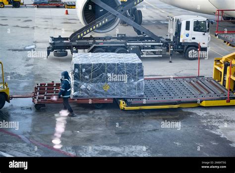 Seoul Korea 22nd Dec 2022 Crews Load Palletized Cargo Strapped Down