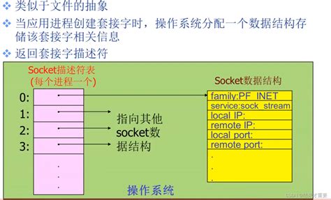 Socket编程 应用编程接口（api） 套接字（及其函数介绍）socket Api Csdn博客