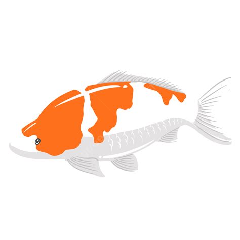 Pez Koi PNG Koi Kohaku Koi Koi Png PNG Y Vector Para Descargar