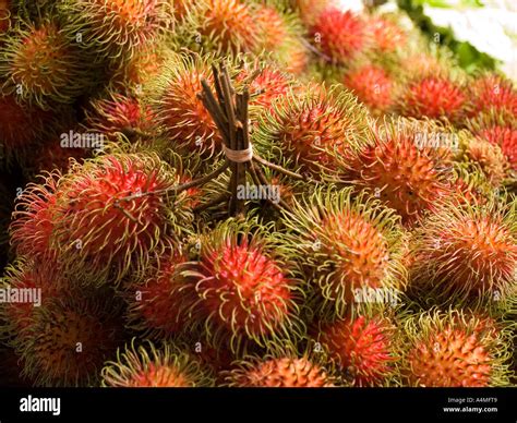 Malaysia Borneo Sarawak Sibu Central Market Fruit Stall Rambutan Stock