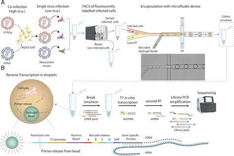 High Throughput Droplet Based Analysis Of Influenza A Virus Genetic