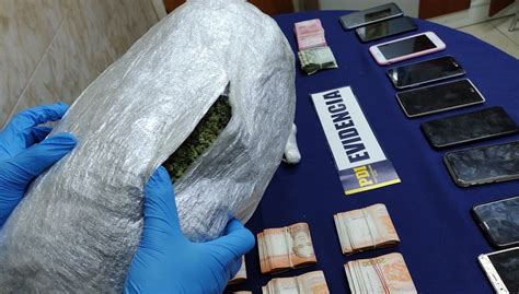 Pdi Temuco Desbarata Banda De Narcotraficantes E Incauta M S De Mil