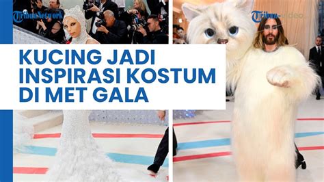 Unik Kucing Desainer Karl Lagerfeld Jadi Inspirasi Kostum Para