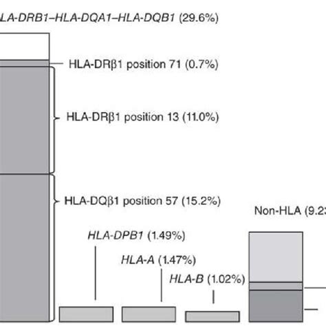 Schematic View Of Hla Drb Hla Dqa Hla Dqb Haplotypes In Patients