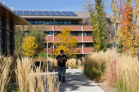 CSU Rooftops Are Prime Real Estate For Solar Power