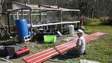 another greenhouse roof | Que Sehra Farm