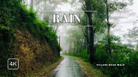 Rainy Day Walk In Sri Lanka Village Road Binaural Rain On Umbrella And