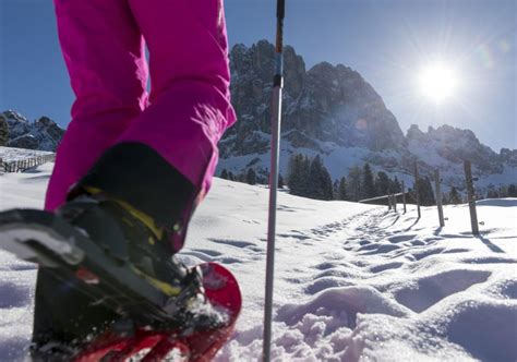 Escursioni Con Le Ciaspole Nella Neve Dellalpe Di Siusi