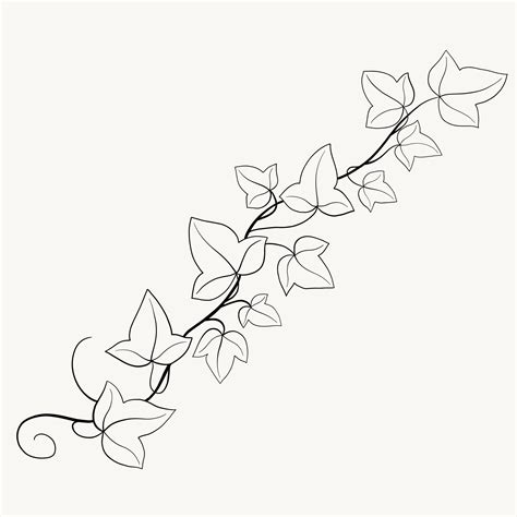 Floral Ivy Drawing Decorative Ornament Flat Design Vector Art