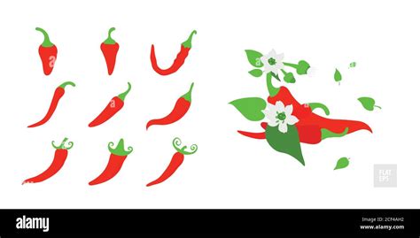 Red Hot Chili Peppers Set Various Peppers In Assortment With Leaves
