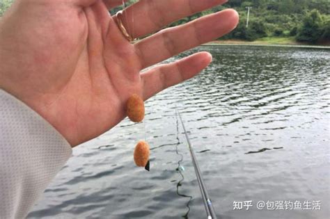 钓鱼开搓饵，其实是有标准动作的 知乎