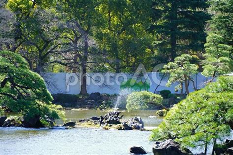 日比谷公園心字池 No 29160669｜写真素材なら「写真ac」無料（フリー）ダウンロードok