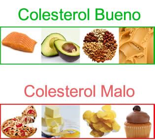 C Mo Subir El Colesterol Bueno La Gu A De Las Vitaminas